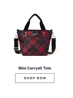 Mini Carryall Tote