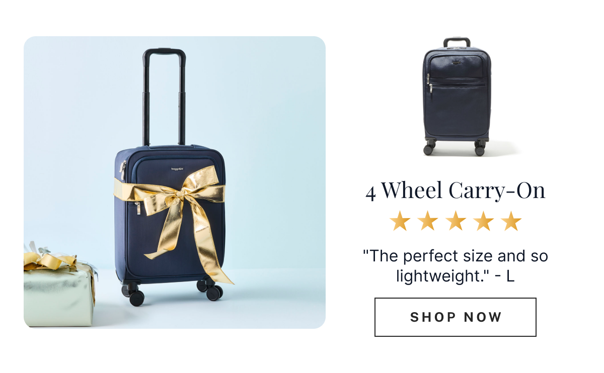 4-Wheel Carry On