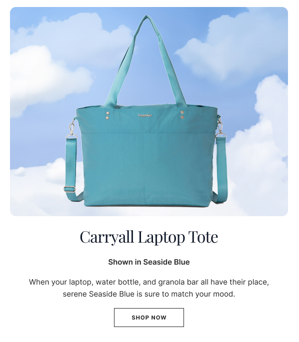 Carryall Laptop