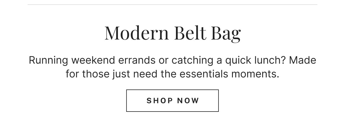 Modern Belt Bag