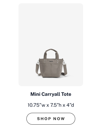 Mini Carryall Tote