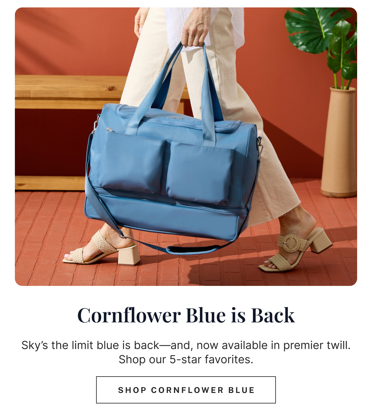 Shop Cornflower