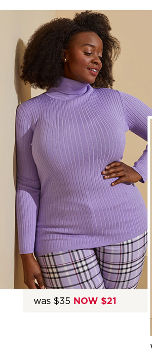 Long Sleeved Turtleneck Sweater