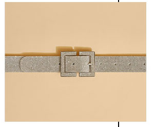 Crystal Embellished Waist Belt