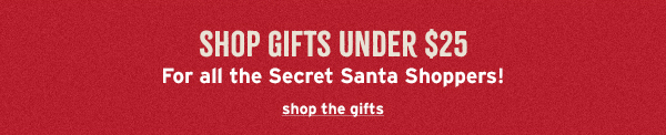 Gifts Under $25 (For All the Secret Santa Shoppers) - Click to Shop