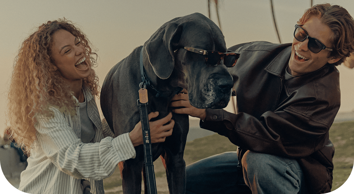 National Pet Day hero