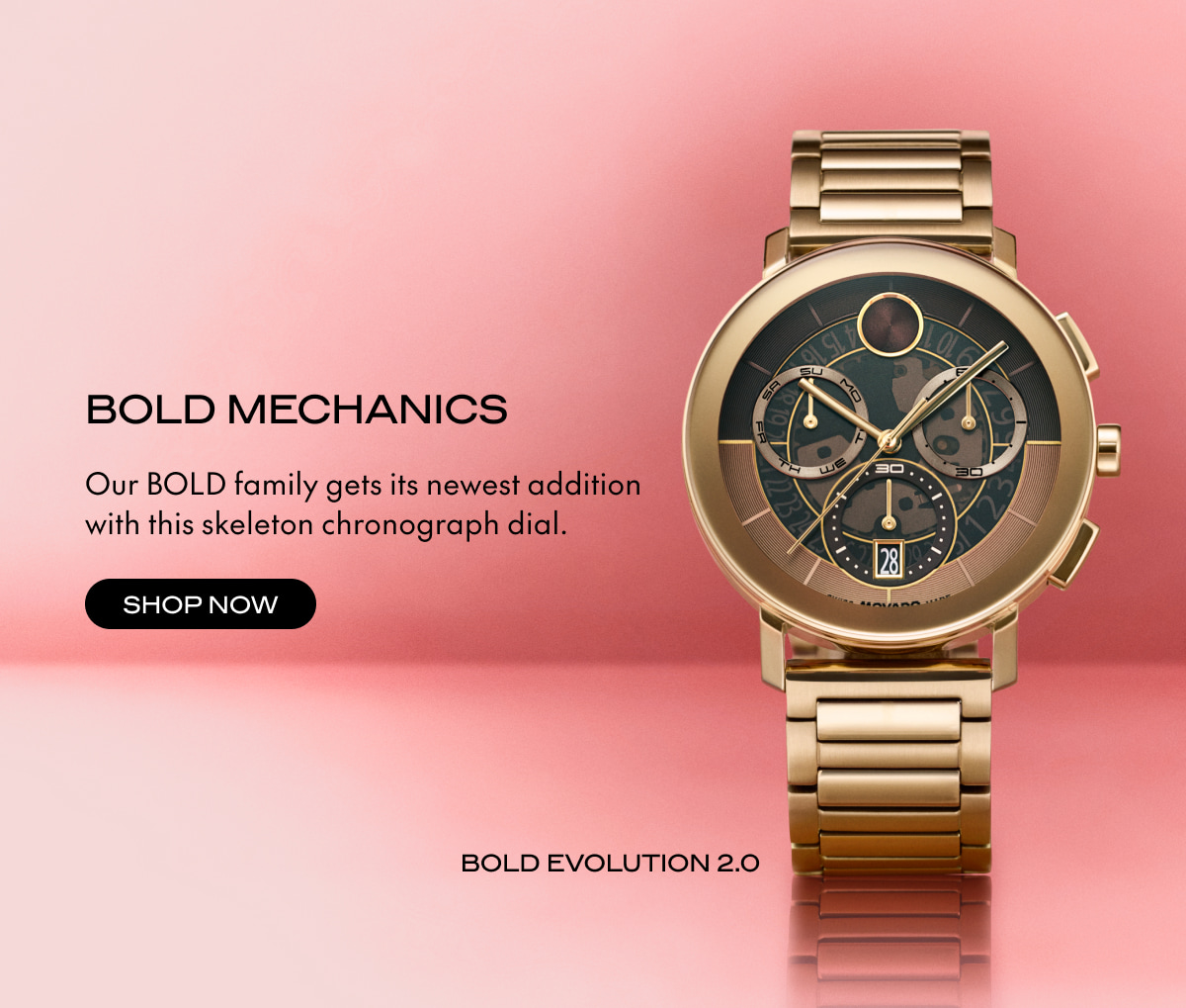 SHOP BOLD