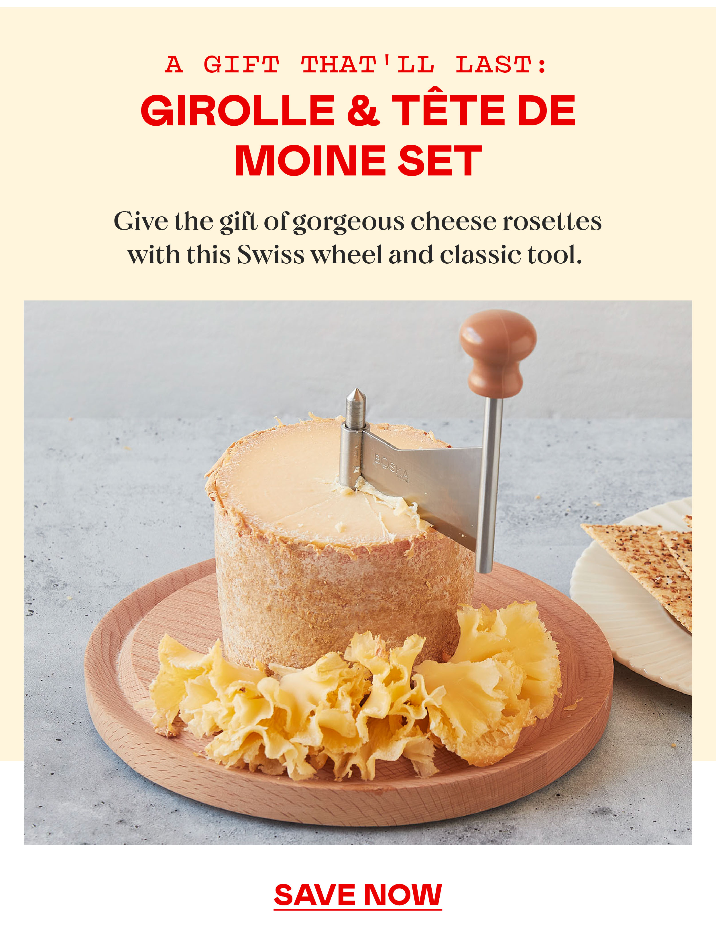 Our Tete de Moine cheese & fruit - Murray's Cheese Bar