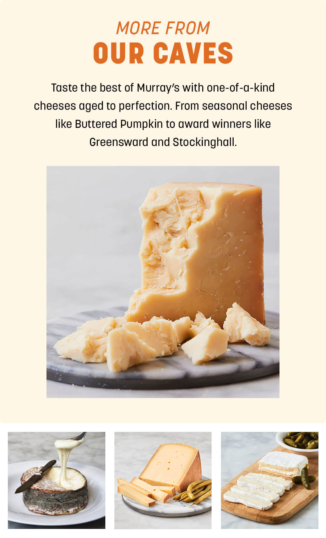 New for Fall! Cave Aged Limited Buttered Pumpkin - Murray's Cheese