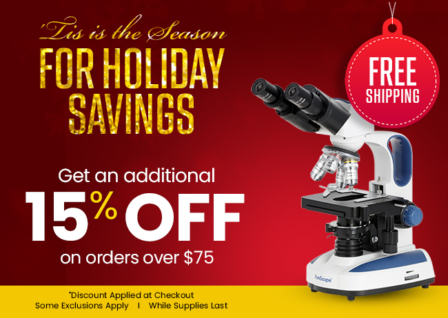 Holiday Savings - 15% off!