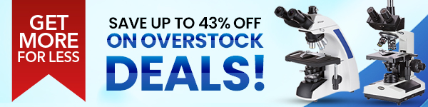 Shop Overstock Now