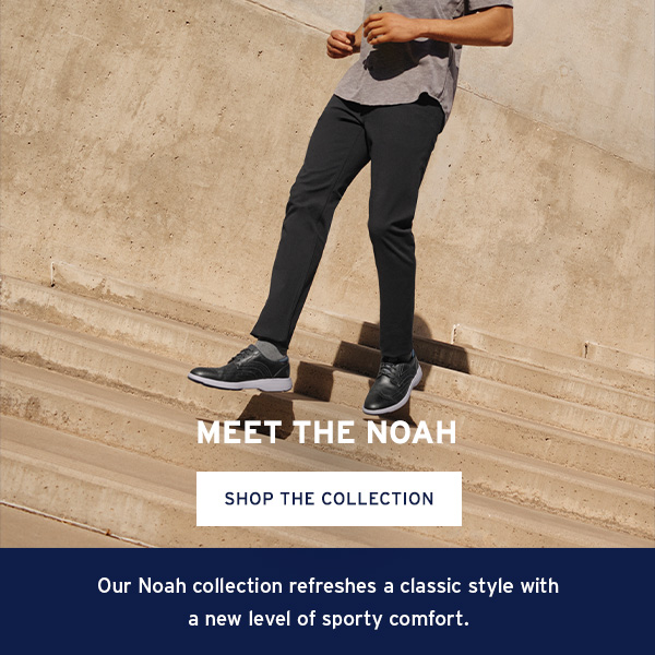 Meet The Noah