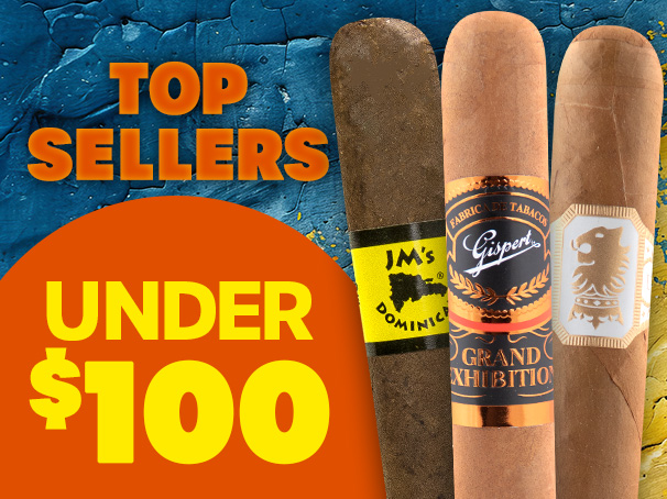 Top Sellers Under $100!