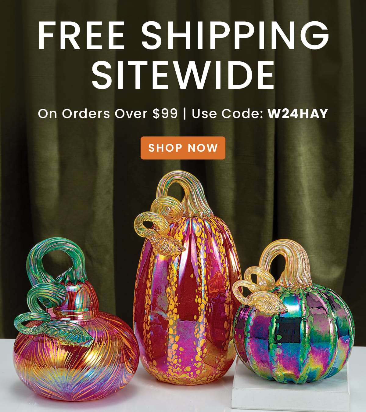 Free Shipping Over $99 | Use Code: W24HAY​