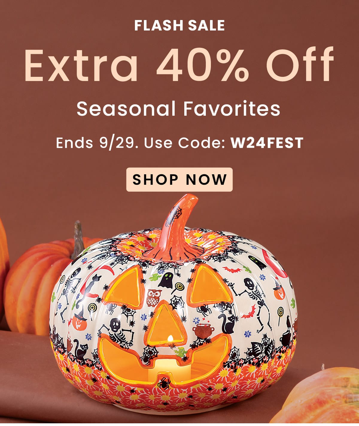 Extra 40% Off Seasonal Favorites| Use Code: W24FEST