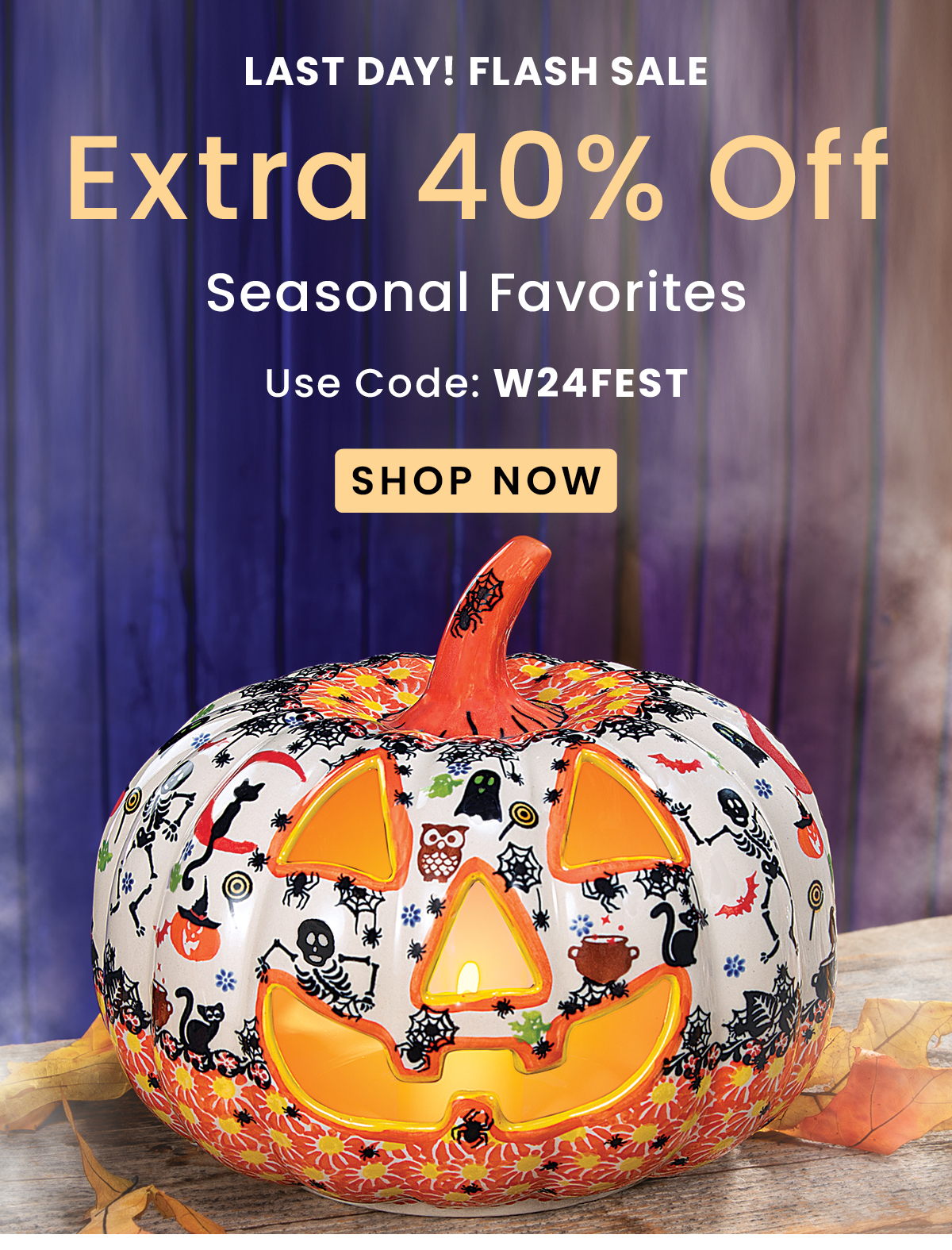 Extra 40% Off Seasonal Favorites| Use Code: W24FEST