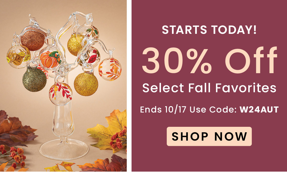 30% Off Select Fall Favorites | Use Code: W24AUT