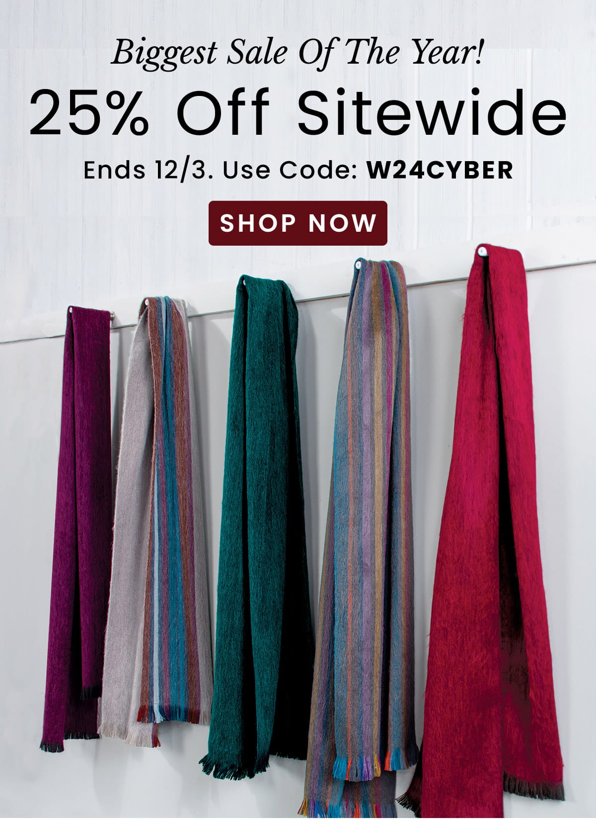 25% Off Sitewide | Use Code: W24CYBER​