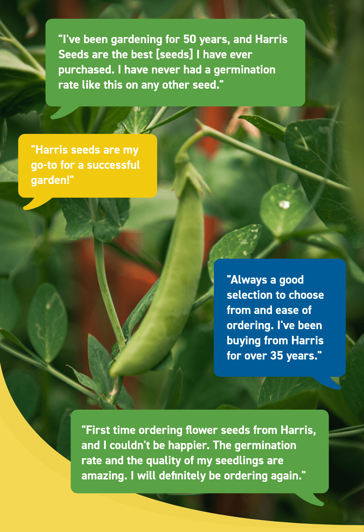 Testimonials: I've been
 gardening for 50 years, and Harris Seeds are the best [seeds] I have ever purchased. I have never had a germination rate like this on any other seed. | Harris seeds are my go-to for a successful garden! | Always a good selection to choose from and ease of ordering. I've been buying from Harris for over 35 years. | First time ordering flower seeds from Harris, and I couldn't be happier. The germination rate and the quality of my seedlings are amazing. I will definitely be ordering again.