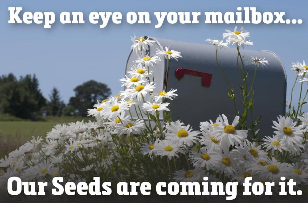 Keep a eye on your mailbox...our seeds are coming for it.
