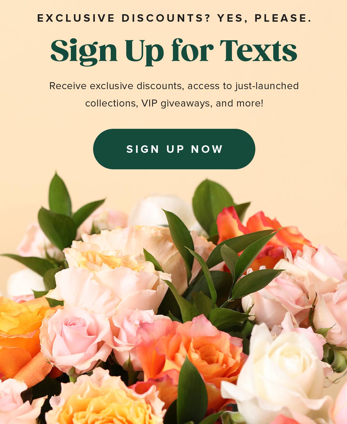 Exclusive discounts? Yes, please. Sign Up for Texts. Receive exclusive discounts, access to just-launched collections, VIP giveaways, and more!