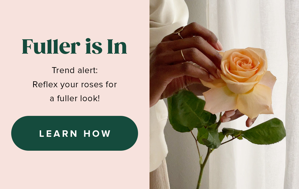 Fuller is In. Trend alert: Reflex your roses for a fuller look!