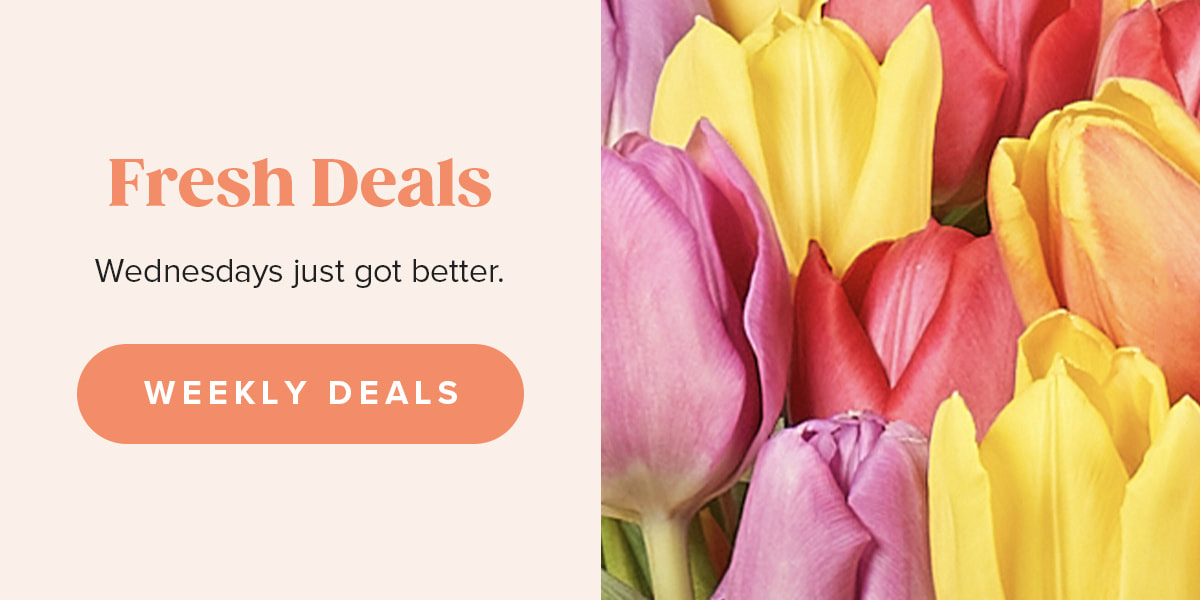 Fresh Deals. Wednesdays just got better. Weekly Deals