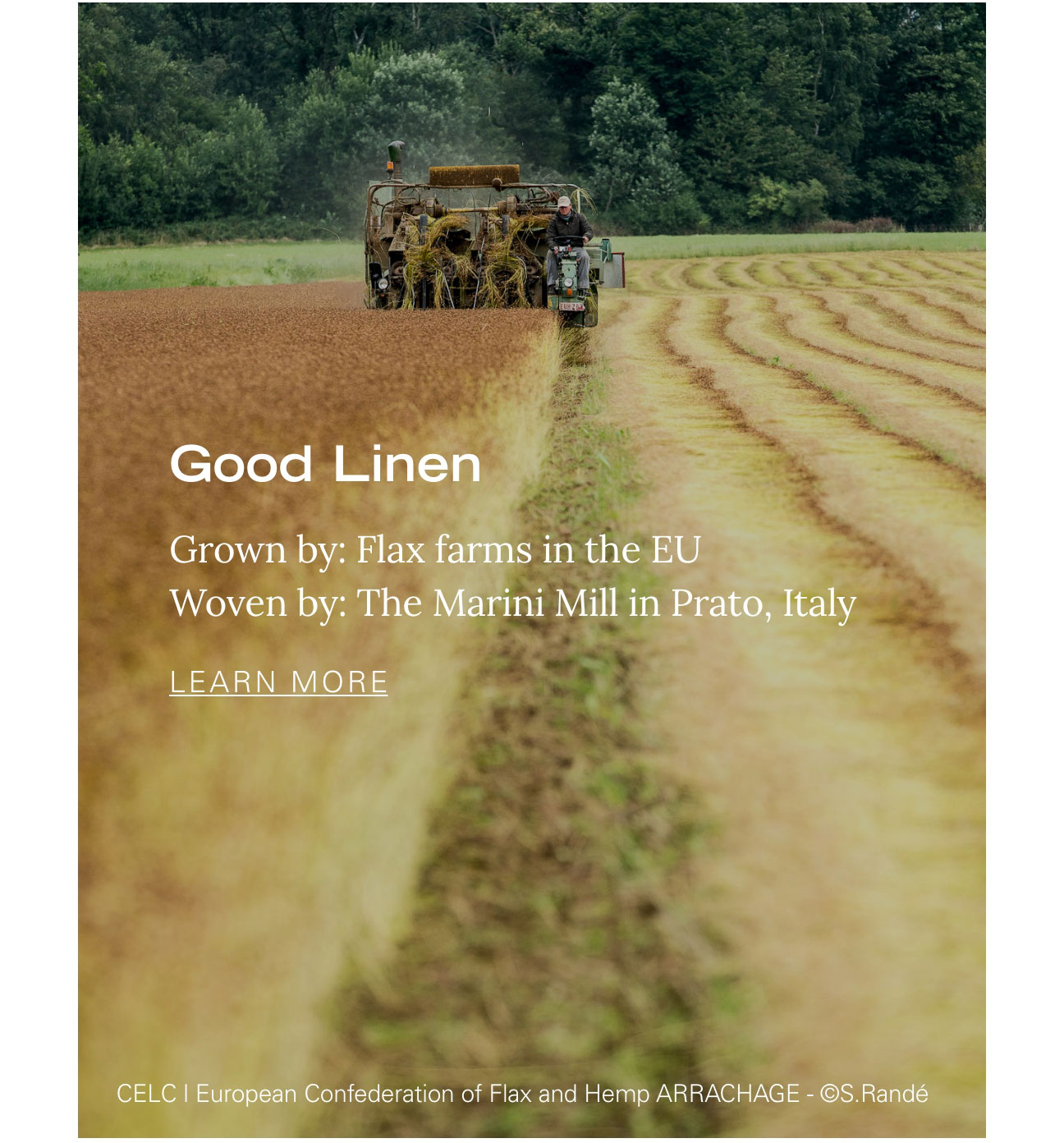 GOOD LINEN Grown by: Flax farms in the EU Woven by: The Marini Mill in Prato, Italy LEARN MORE