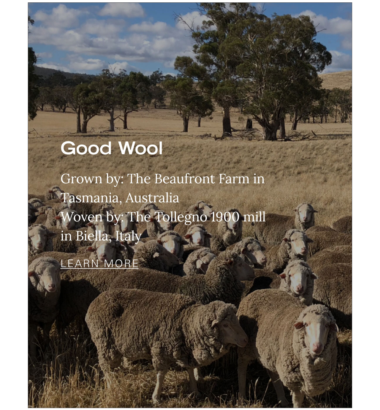 GOOD WOOL Grown by: The Beaufront Farm in Tasmania Australia Woven by: The Tollegno 1900 mill in Biella, Italy LEARN MORE