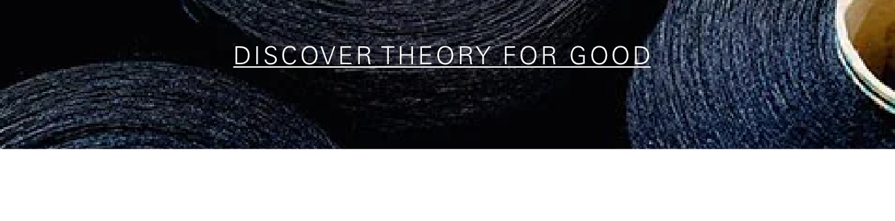 DISCOVER THEORY FOR GOOD