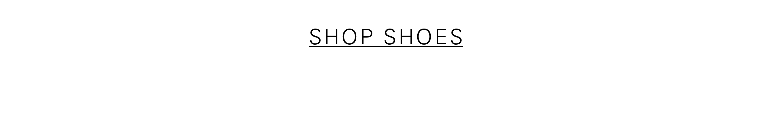 SHOP SHOES