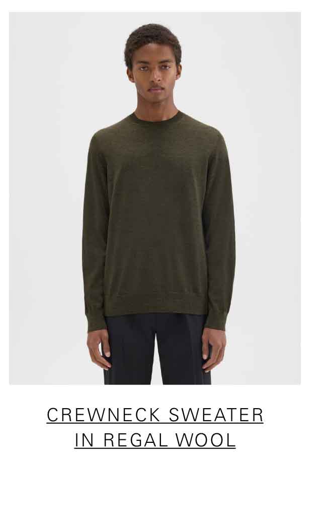 Crewneck Sweater in Regal Wool