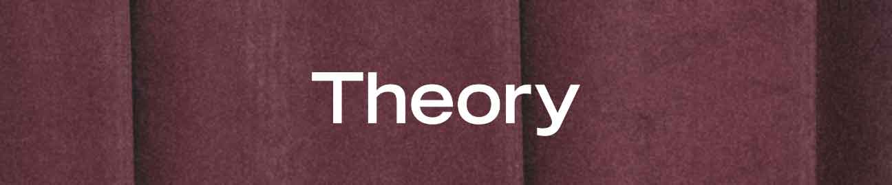 Theory