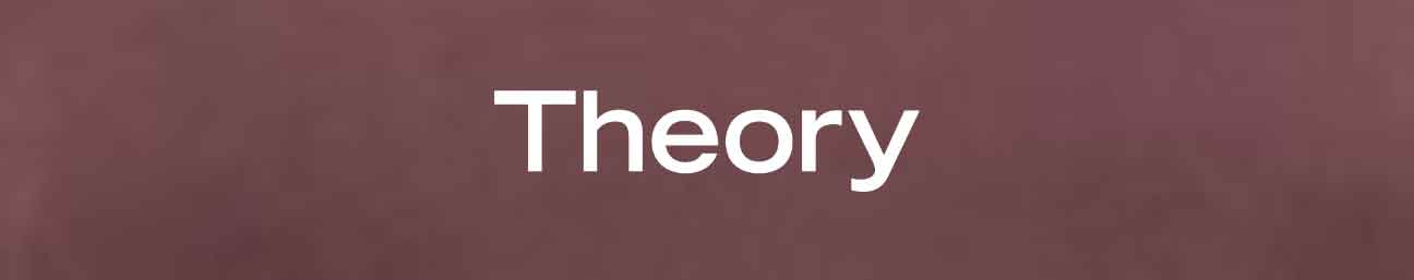 Theory