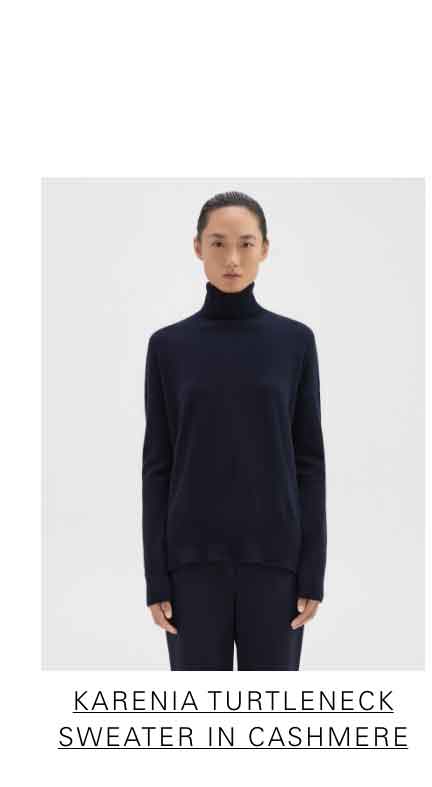 Karenia Turtleneck Sweater in Cashmere