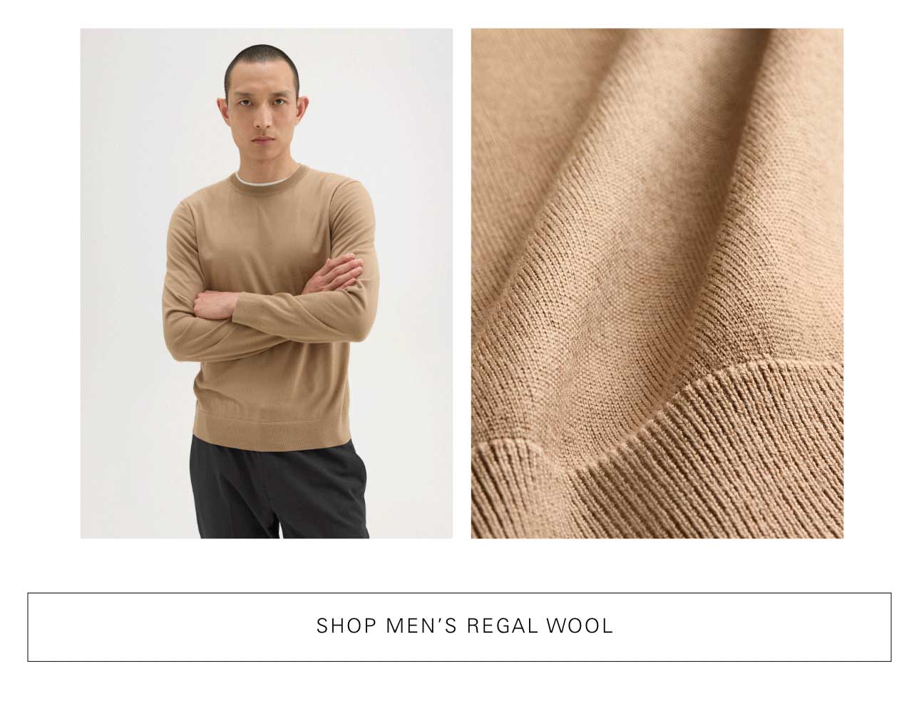 Shop Mens Regal Wool