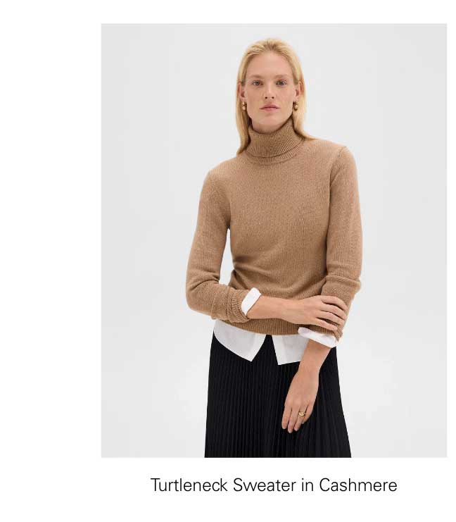 Turtleneck Sweater in Cashmere