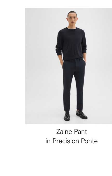 Zaine Pant in Precision Ponte