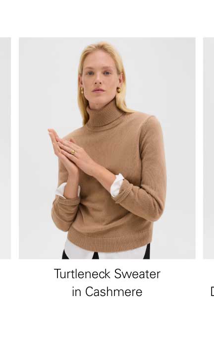 Turtleneck Sweater in Cashmere