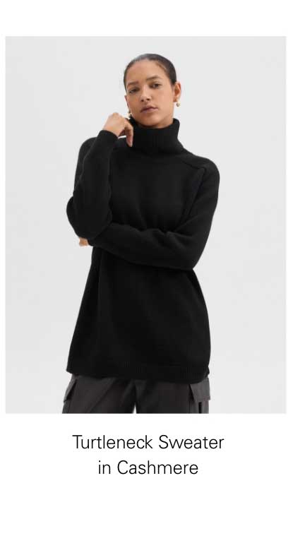 Turtleneck Sweater in Cashmere