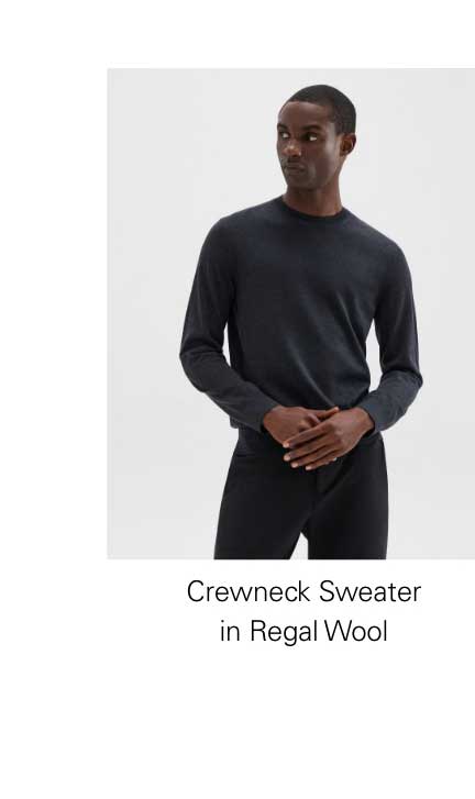 Crewneck Sweater in Regal Wool