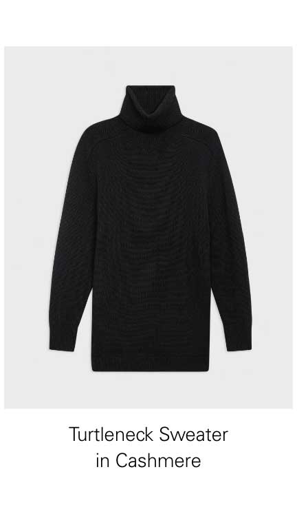 Turtleneck Sweater in Cashmere