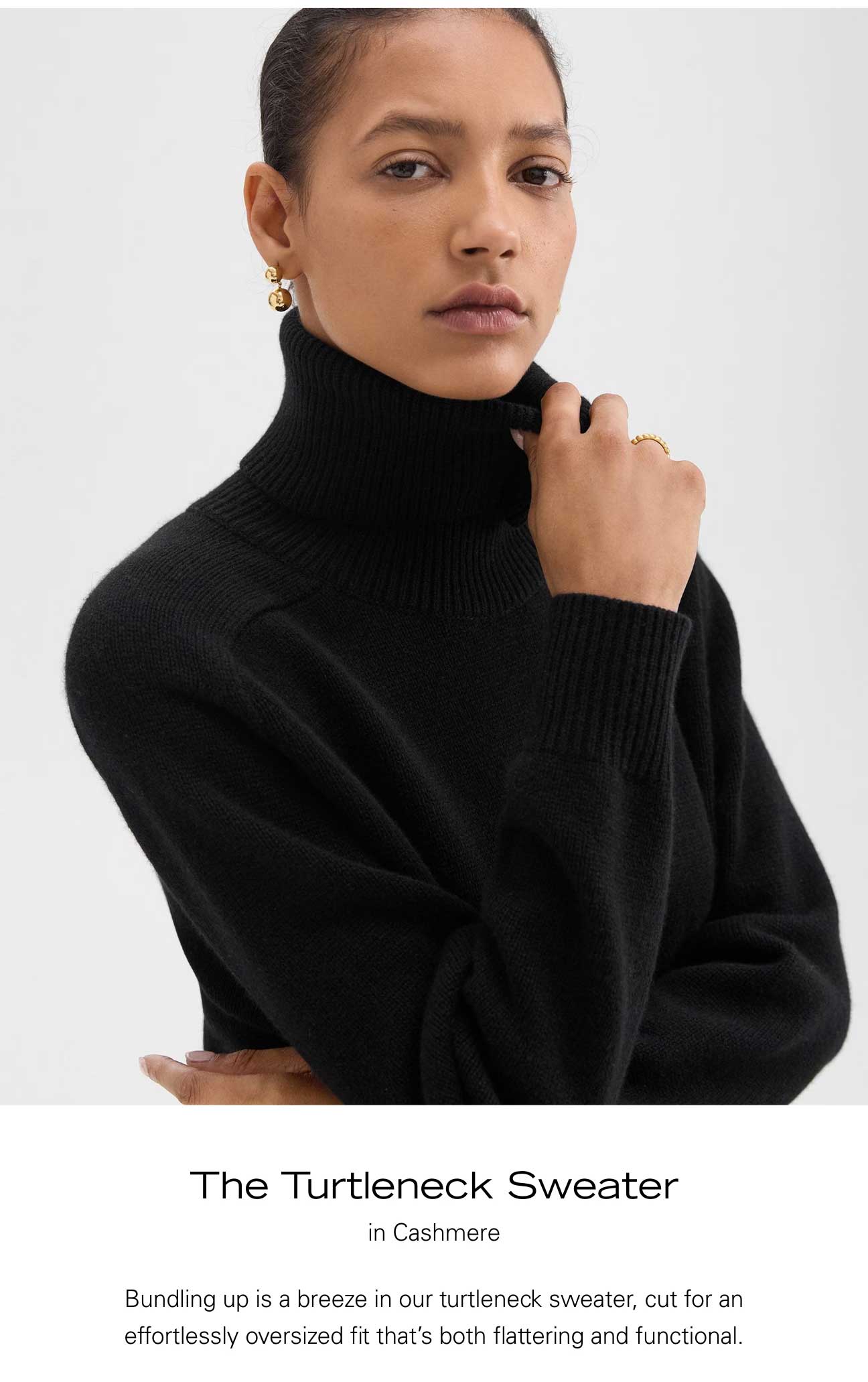 Turtleneck Sweater in Cashmere