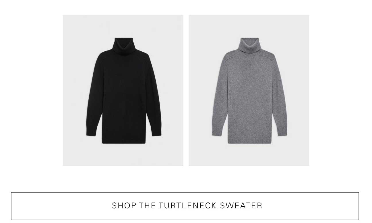 Shop The Turtleneck Sweater