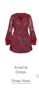 Shop the Ariarne Dress