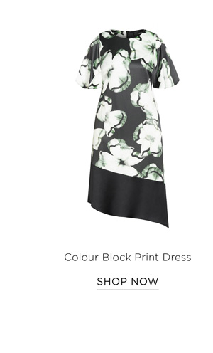 Shop the Color Block Print Dress
