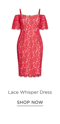 Shop the Lace Whisper Dress