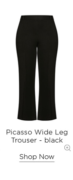 Shop The Picasso Wide Leg Trouser