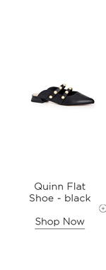 Shop The Quinn Flat Shoe