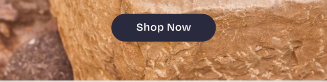 Shop Now Button - Image
